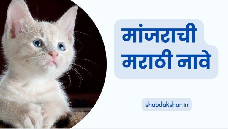 Cat Name in Marathi