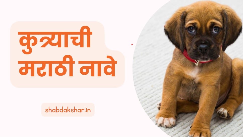 Marathi dog name