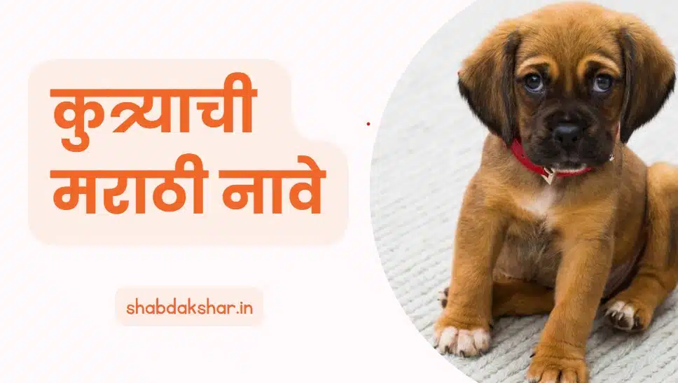 Marathi dog name