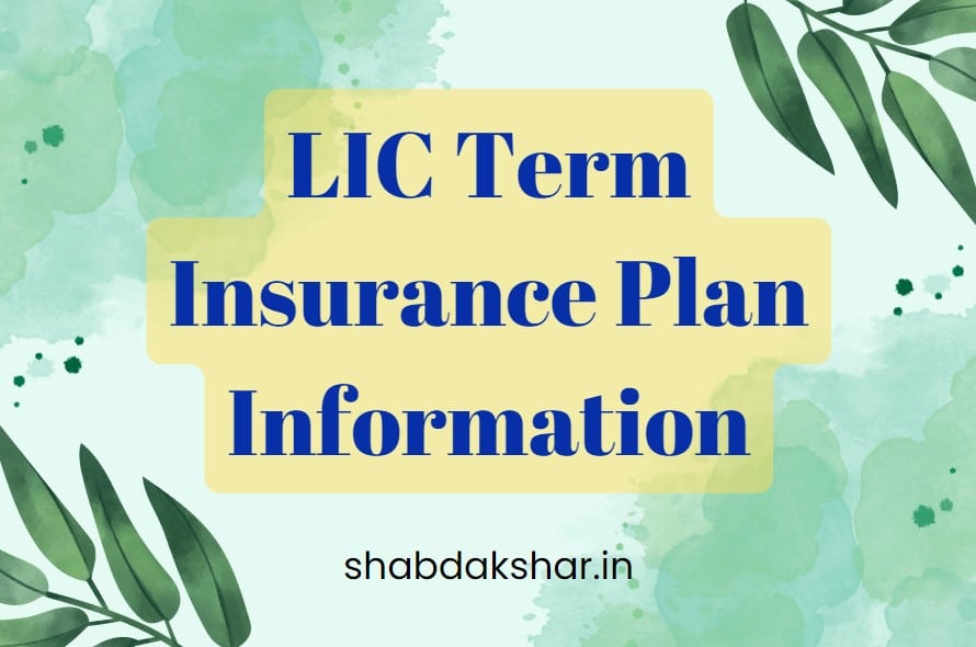 LIC Term Insurance Plan Information