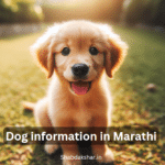 Dog information in Marathi